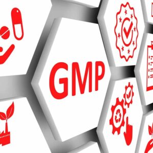 GMP compliance in cannabis extraction